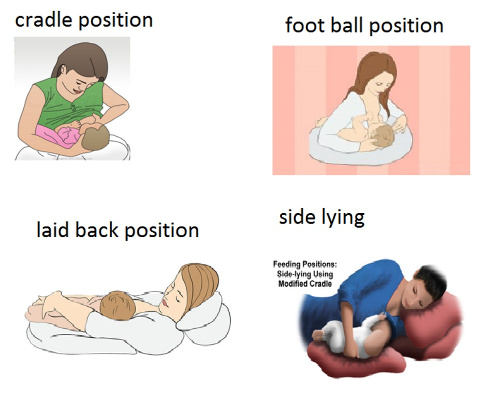 Feeding positions best sale